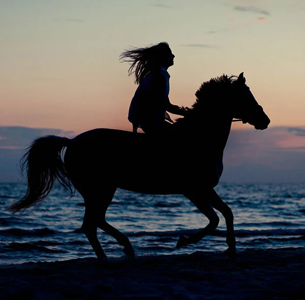 Agadir horseriding sunset A6