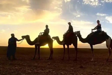 unforgettable and Thrilling Camel Ride Experience in Agafay desert 2023