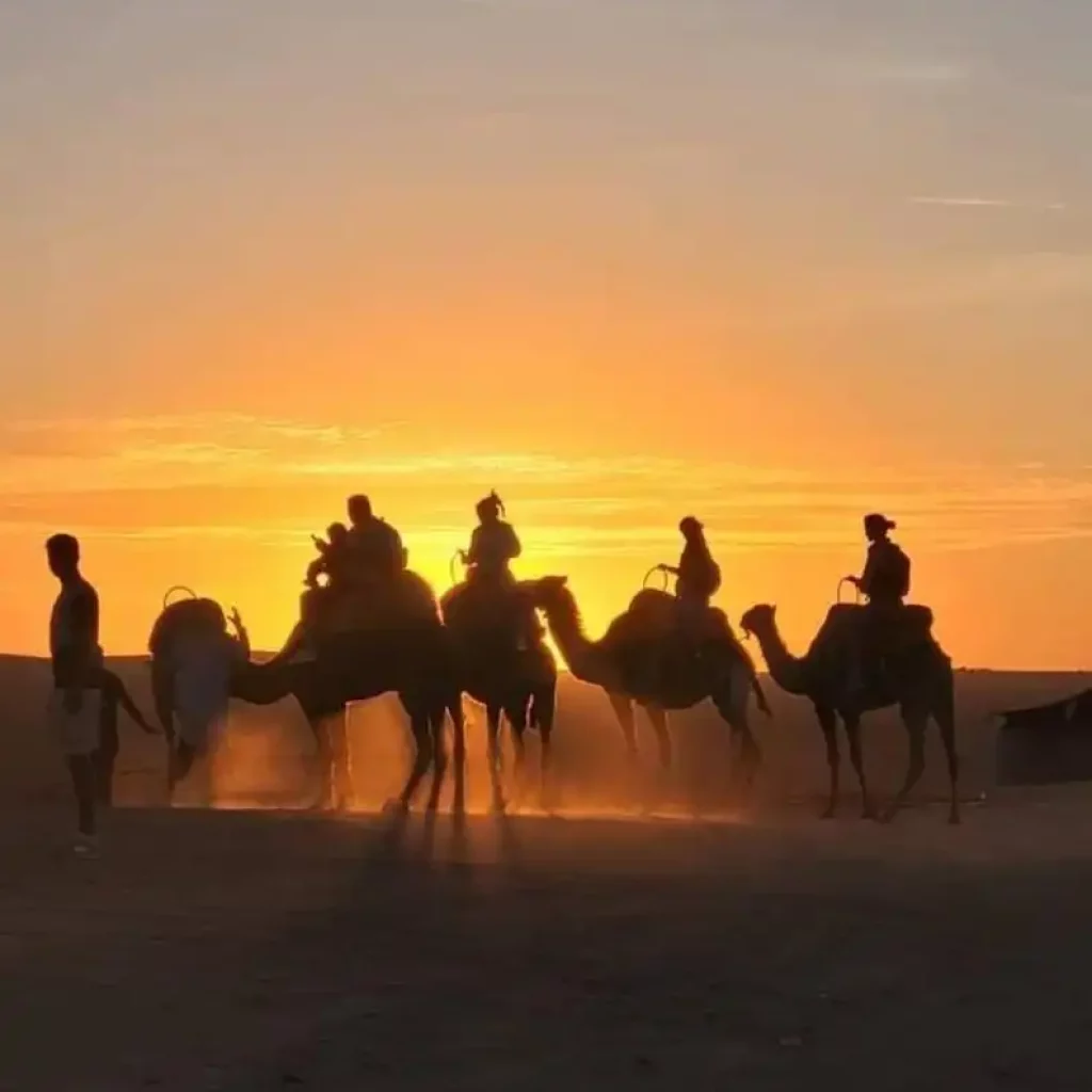 Unleash Your Inner Adventurer: Thrilling Activities and Relaxing Escapes in the Agafay Desert with Maroc Day Pass Maroc Day Pass Agafay camel ride during the sunset