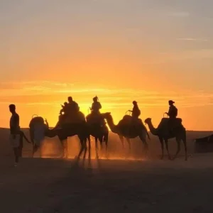 Agafay camel ride during the sunset