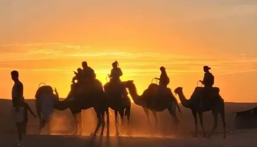 Unveiling the Charm: Exclusive Sunset Camel Safari Day Pass Deals in Maroc