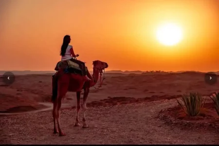 Balade dromadaire au coucher du soleil dans le desert dAgafay