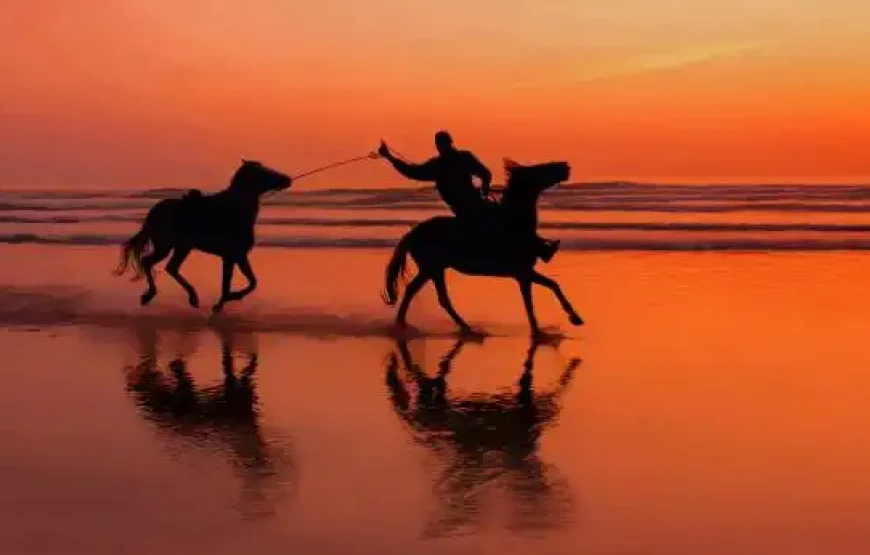 5-Day Essaouira Horse Riding Adventure