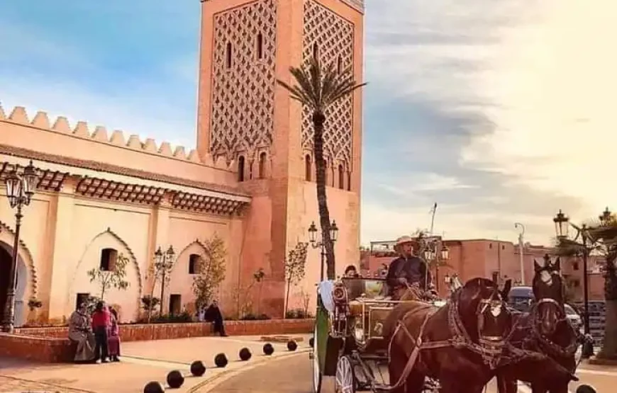 Marrakech et Essaouira : Une Expérience Epoustouflante à ne pas Manquer avec Maroc Day Pass 2023