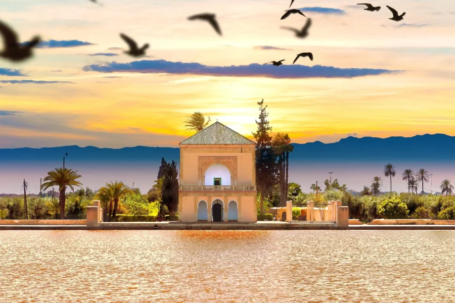 Speedy Transfer Service from Agadir to Marrakech 2025