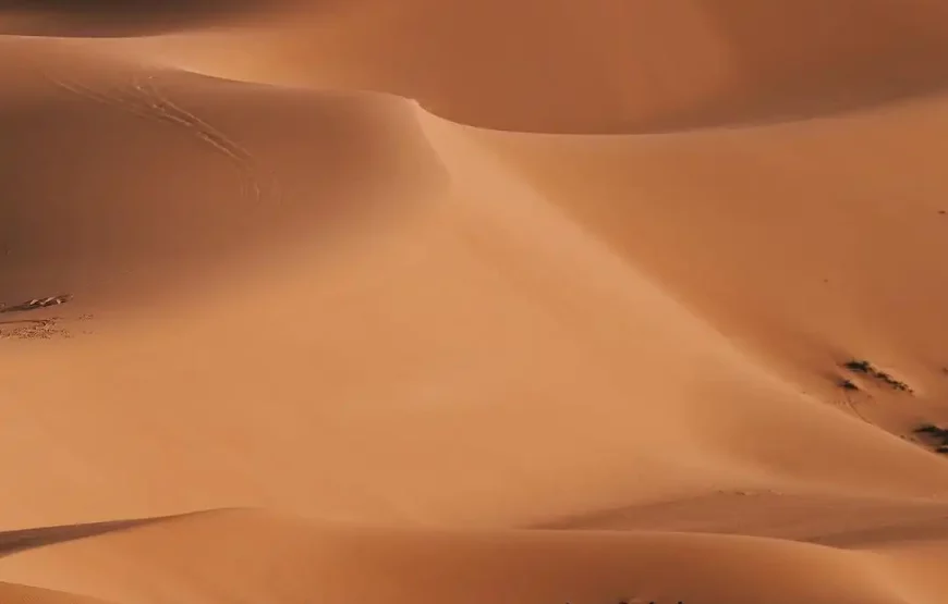 Exploration de 3 jours de Marrakech à Merzouga avec Maroc Day Pass : un périple captivant au cœur de l’aventure.