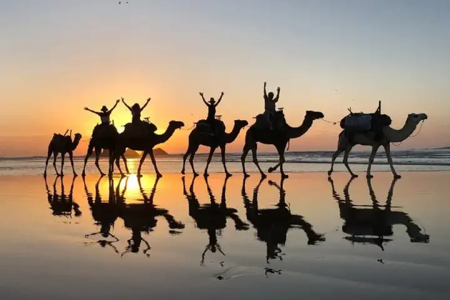Unforgettable Experience: 1-Hour Camel Riding in Essaouira
