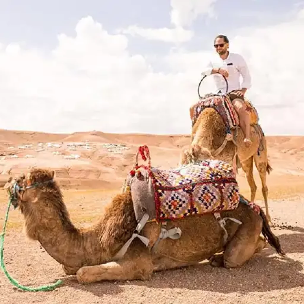 Unleash Your Inner Adventurer: Thrilling Activities and Relaxing Escapes in the Agafay Desert with Maroc Day Pass Maroc Day Pass agafay sunset camel ride