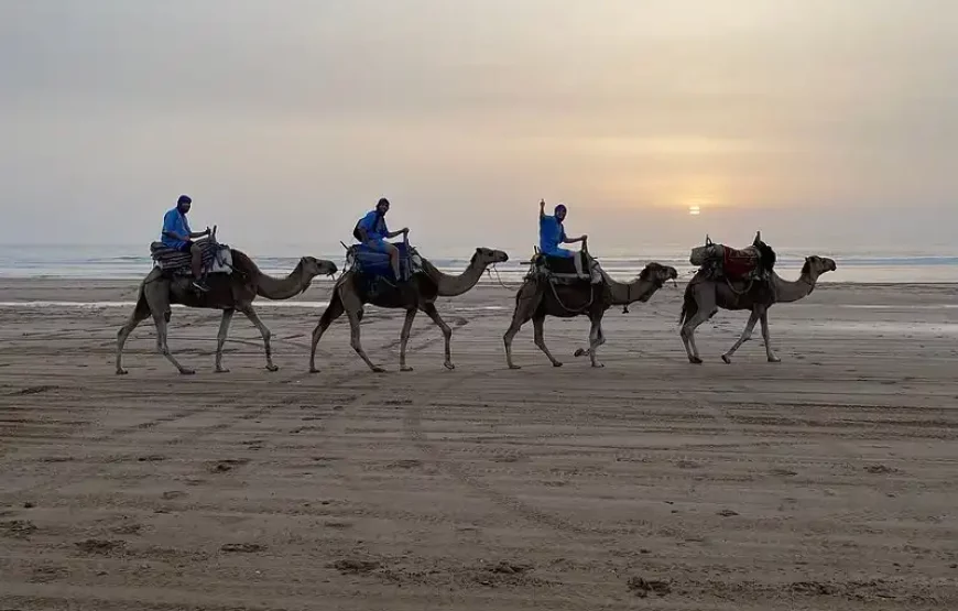 5-Day Essaouira Horse Riding Adventure