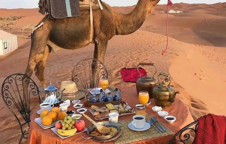 Morocco Grand Tour: 15 Days of History, Culture, Imperial Cities, Sahara Desert, Mountains, Beaches, activities, things to do & much more