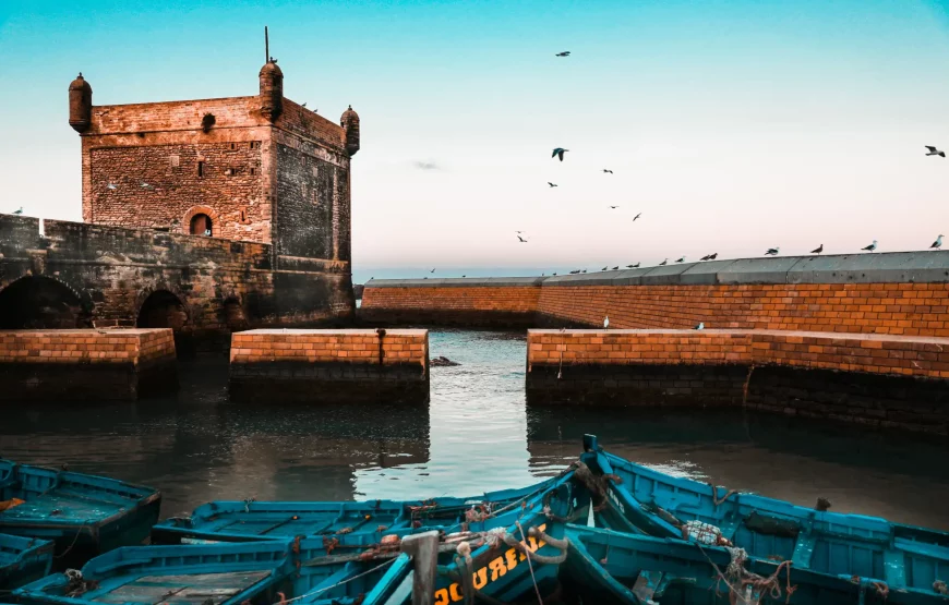 5-Day Essaouira Horse Riding Adventure