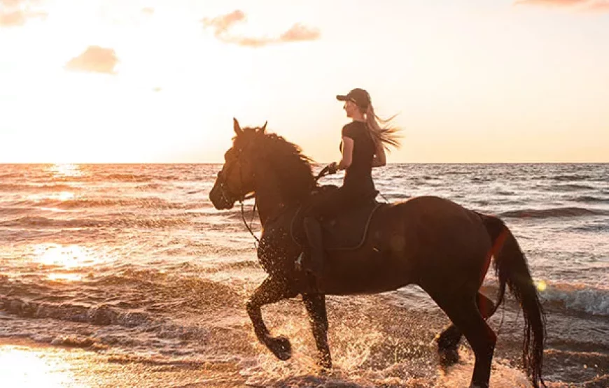 5-Day Essaouira Horse Riding Adventure