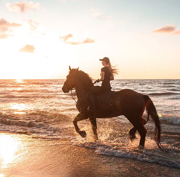 Thrilling Horse Riding Adventures in Morocco 2023