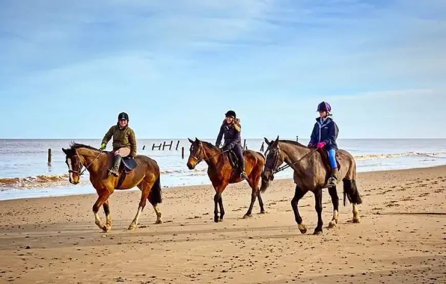 5-Day Essaouira Horse Riding Adventure