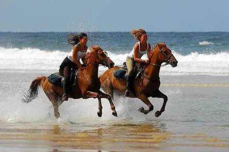 horse ride activity in taghazoute