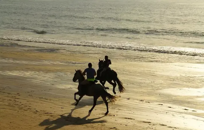 5-Day Essaouira Horse Riding Adventure