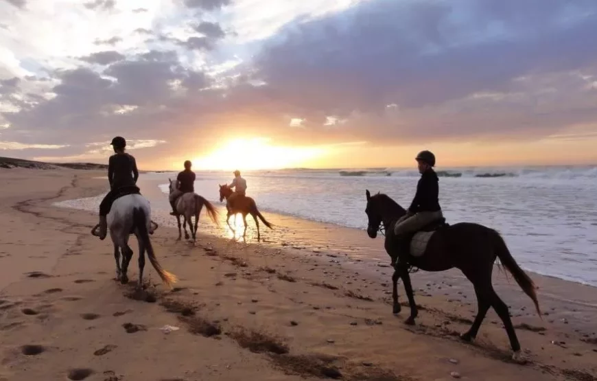 5-Day Essaouira Horse Riding Adventure