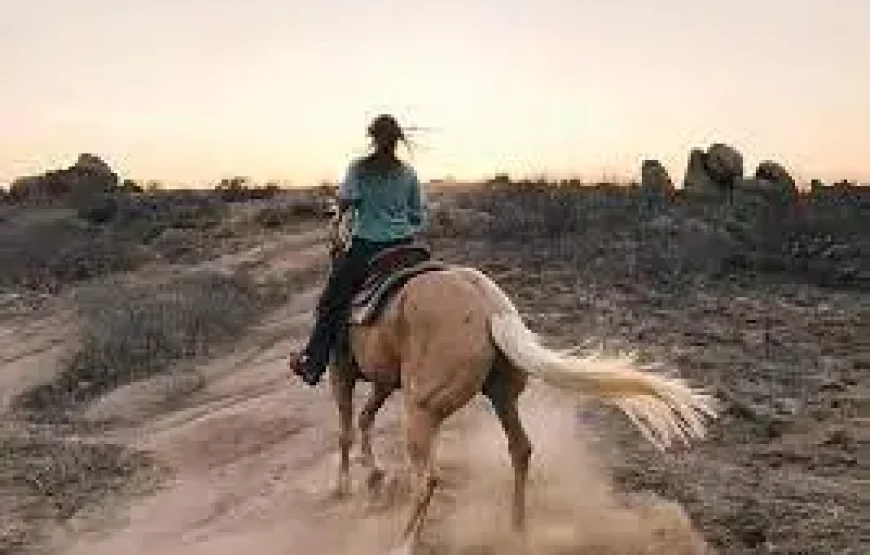 5-Day Essaouira Horse Riding Adventure