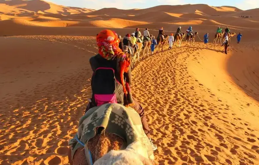 Exploration de 3 jours de Marrakech à Merzouga avec Maroc Day Pass : un périple captivant au cœur de l’aventure.