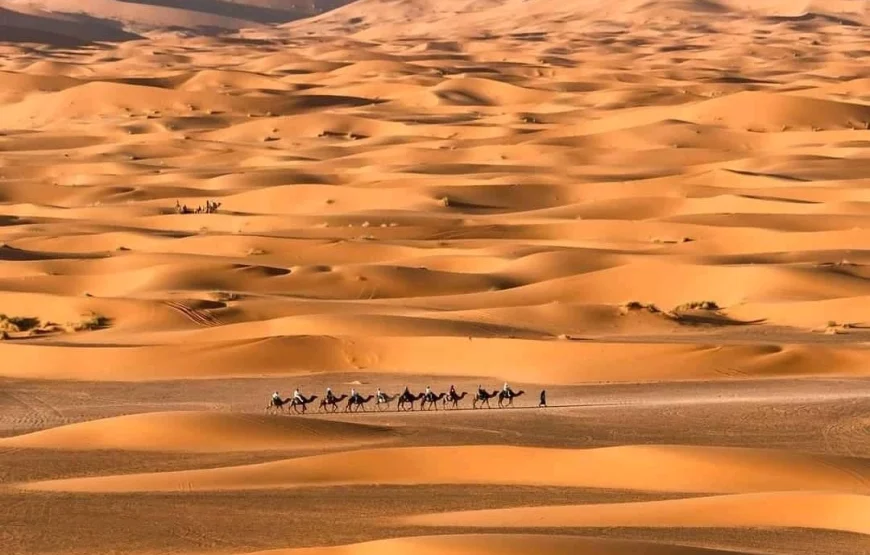 Exploration de 3 jours de Marrakech à Merzouga avec Maroc Day Pass : un périple captivant au cœur de l’aventure.