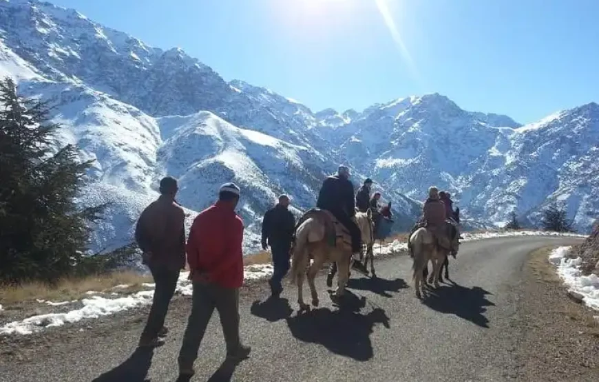 Ultimate Adventure: 3-Day Toubkal Trekking Escape