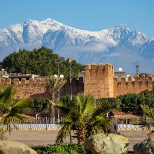 taxiexperience taroudant