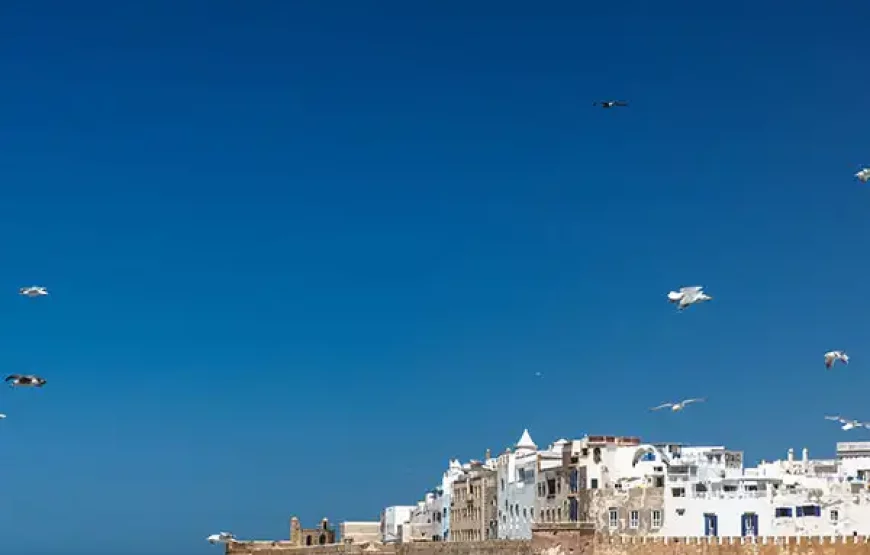 5-Day Essaouira Horse Riding Adventure