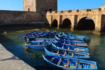 Aventure côtière lors de l'excursion ultime d'une journée de Marrakech à Essaouira en 2023.