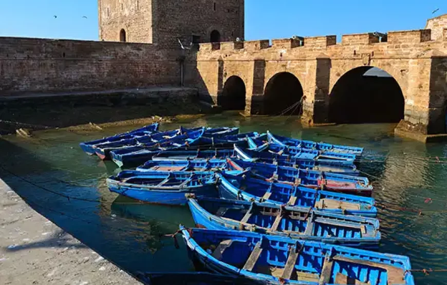 5-Day Essaouira Horse Riding Adventure