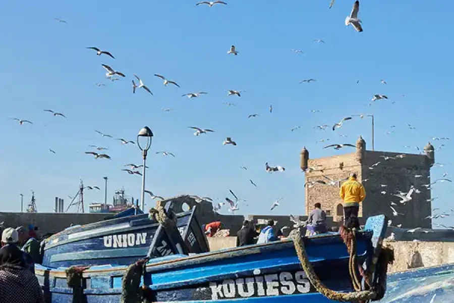 Efficient Taxi Transfer Marrakech to Essaouira 2025