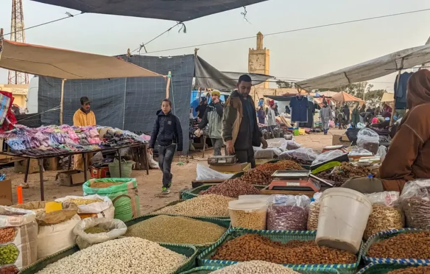 5-Day Essaouira Horse Riding Adventure