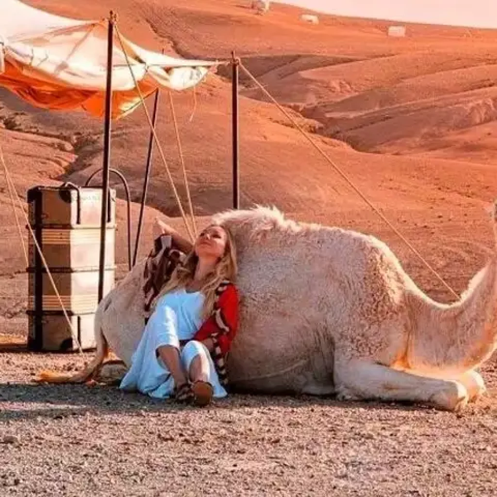Unleash Your Inner Adventurer: Thrilling Activities and Relaxing Escapes in the Agafay Desert with Maroc Day Pass Maroc Day Pass Maroc day pass camel ride in agafay desert marrakech