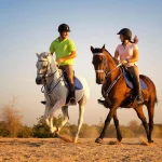 horse in agafay desert