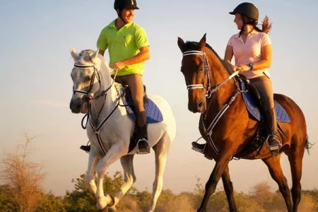 Explorer la nature à cheval : Équitation inoubliable au Maroc