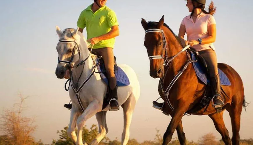 Explorer la nature à cheval : Équitation inoubliable au Maroc