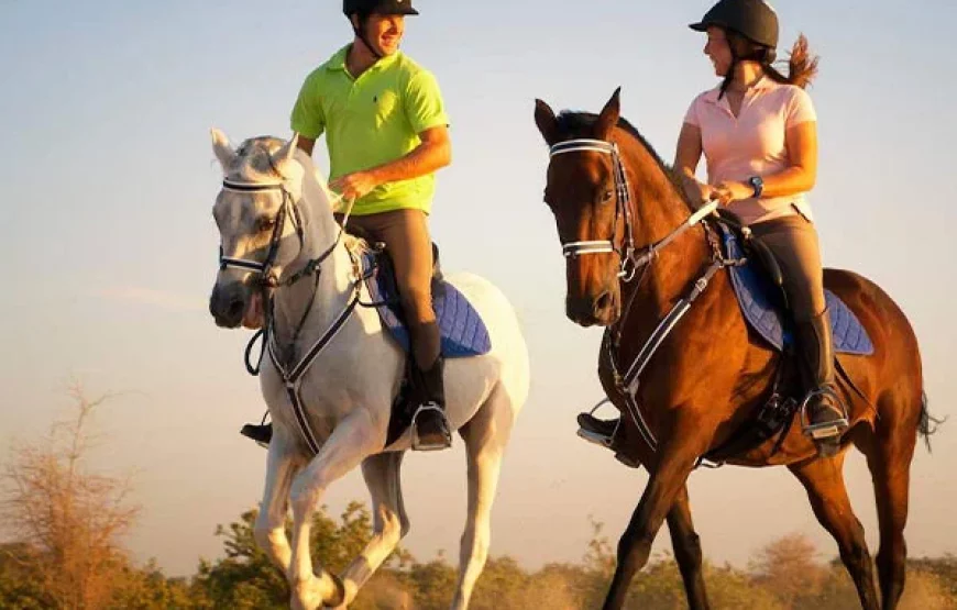 5-Day Essaouira Horse Riding Adventure