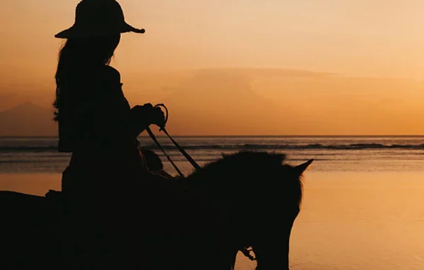 5-Day Essaouira Horse Riding Adventure