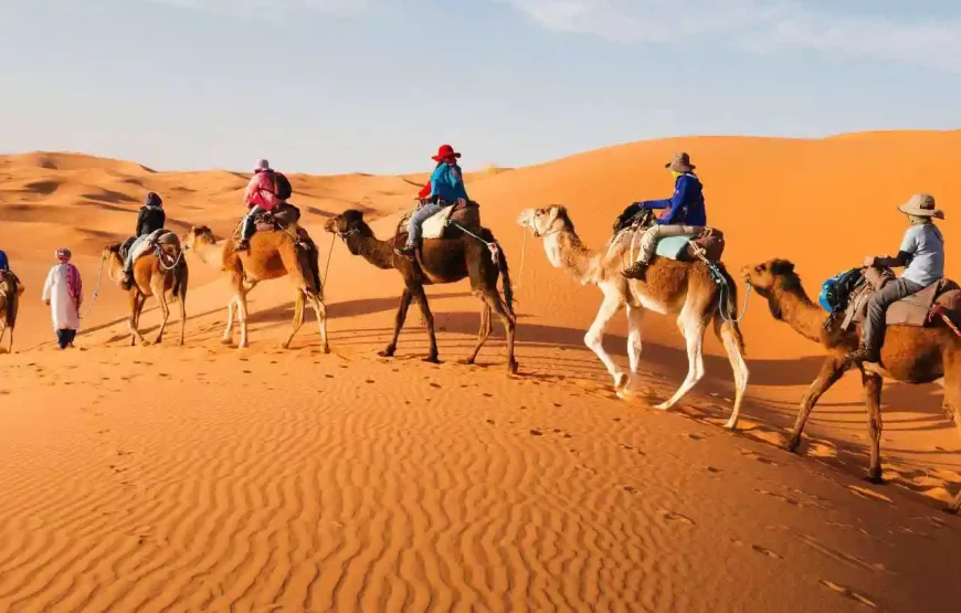 Morocco Grand Tour: 15 Days of History, Culture, Imperial Cities, Sahara Desert, Mountains, Beaches, activities, things to do & much more