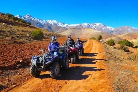 1-Hour Quad Biking in Lalla Takerkoust: Experience the Excitement