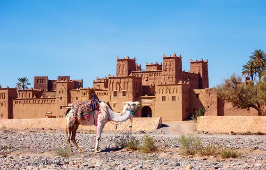 Morocco Grand Tour: 15 Days of History, Culture, Imperial Cities, Sahara Desert, Mountains, Beaches, activities, things to do & much more