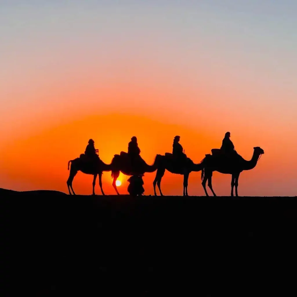 Unleash Your Inner Adventurer: Thrilling Activities and Relaxing Escapes in the Agafay Desert with Maroc Day Pass Maroc Day Pass sunset camel ride in agafay desert marrakech